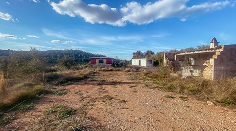FINCA RUSTICA CON CASETA EN VENTA EN FREGINALS TARRAGONA, immagine 5