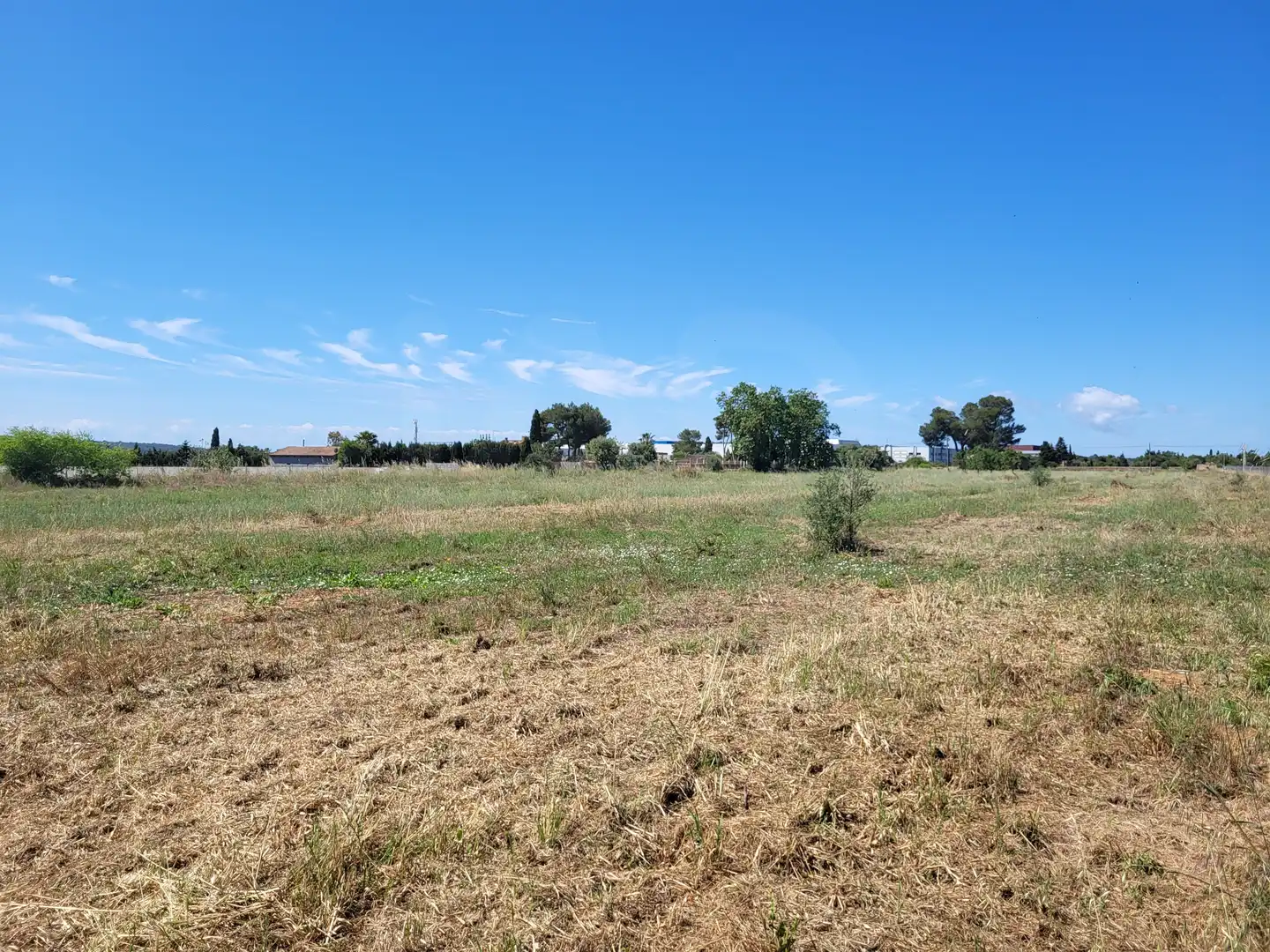 Terrain rustique à vendre à Polígono 2 Parcela 1, imagen 14