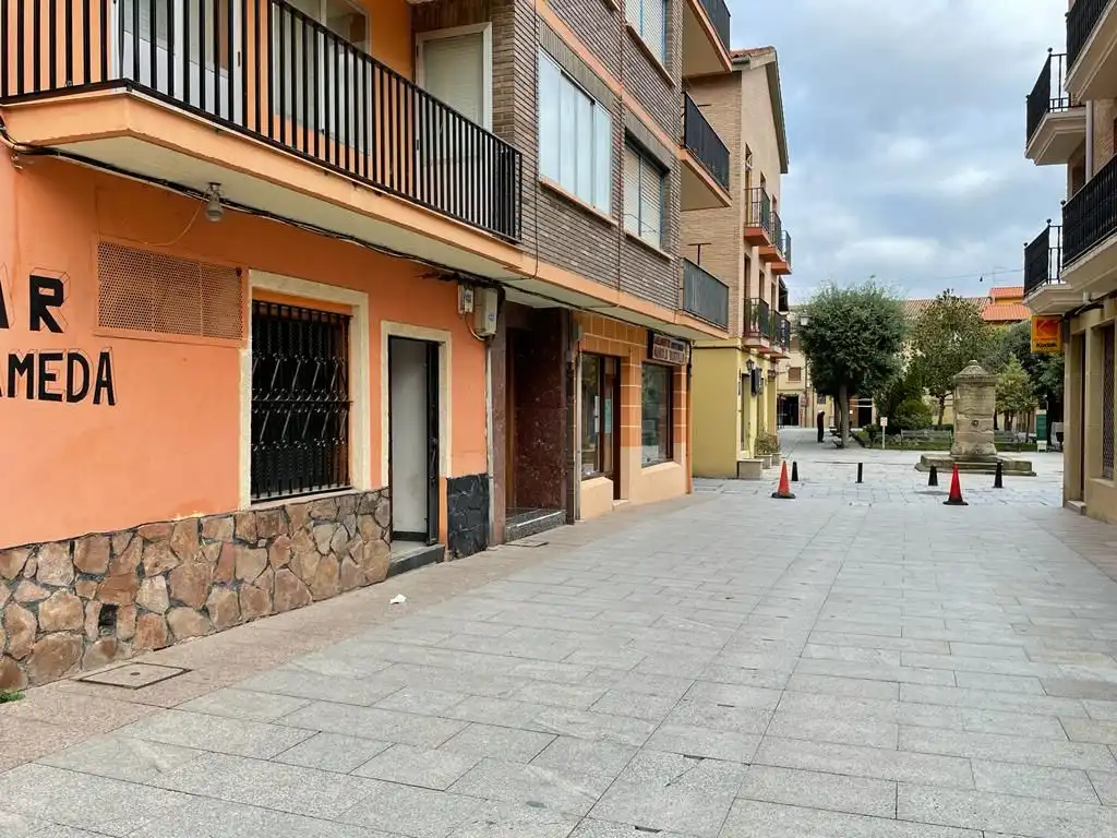 Local comercial en venda a Calle la Alameda 3, imagen 10