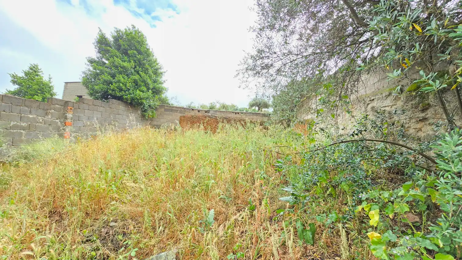 Casa o xalet en venda a Calle Virgen, 67, Aliseda