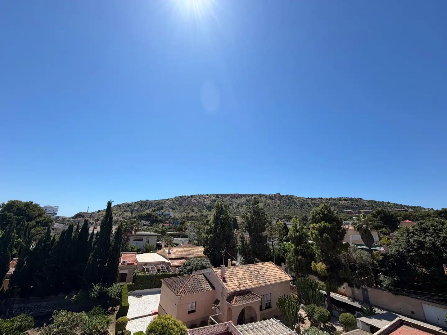 Exterior view of Buildings for sale in Alicante / Alacant
