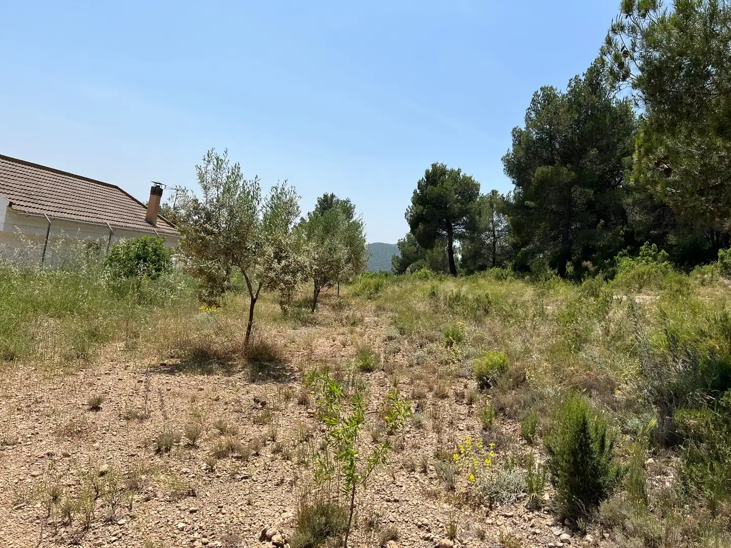 Casa o chalet en venta en Andilla
