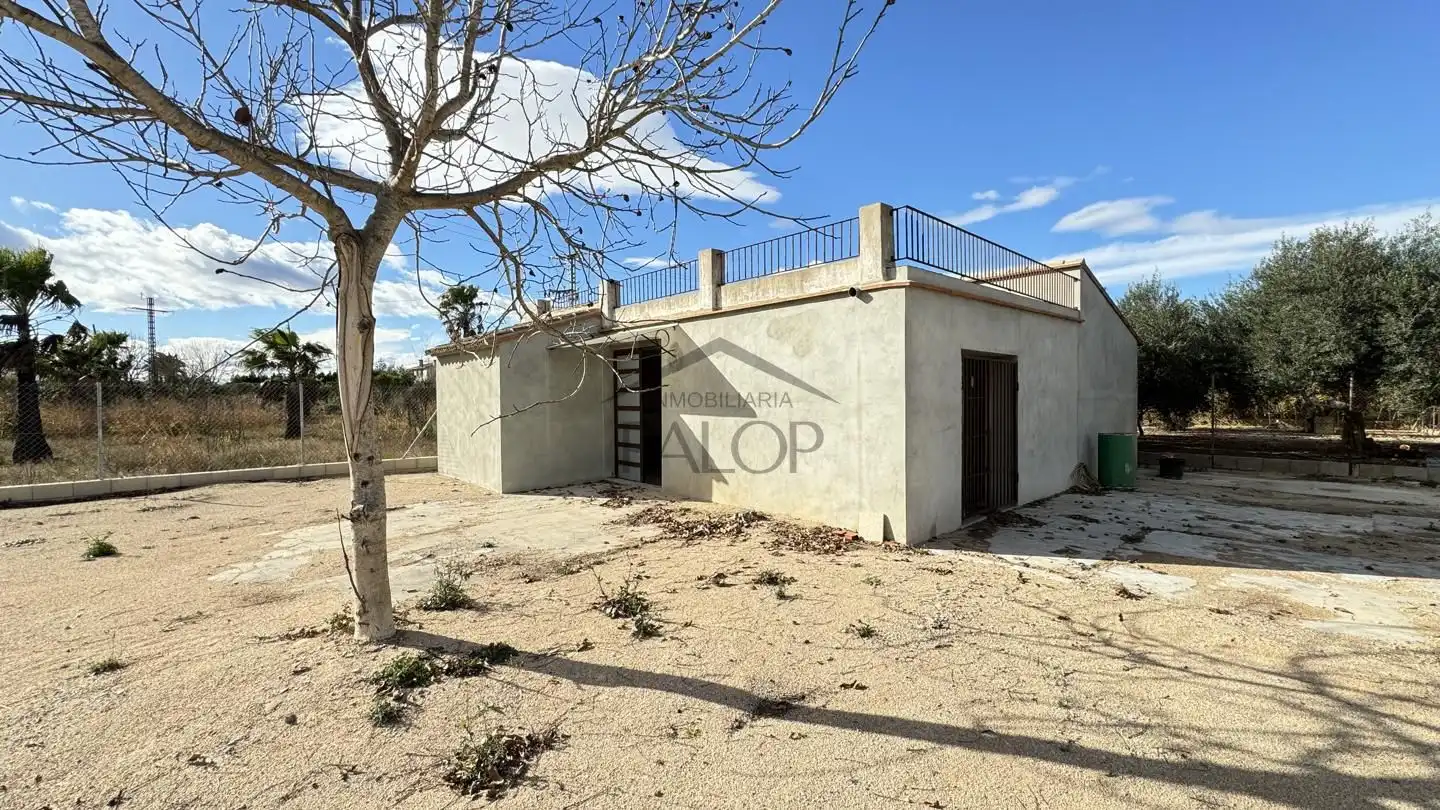 Finca rústica en venta en Carcaixent