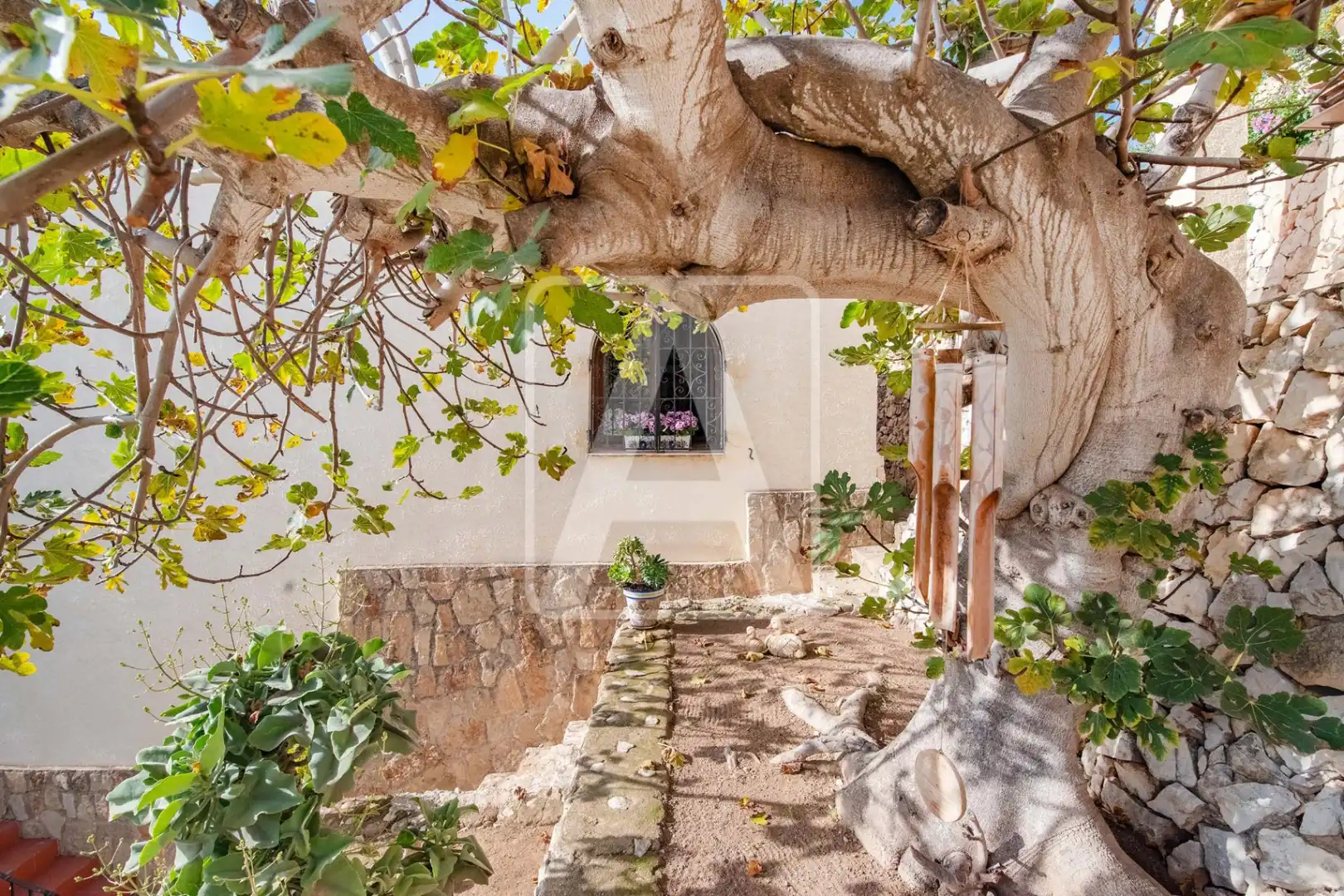 Villa con piscina in vendita a La Viña - Montemar - San Jaime, imagen 48
