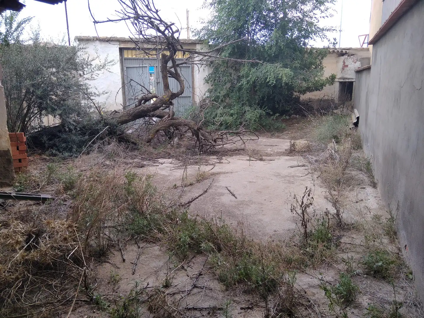 Lands and plots for sale in Madridejos, imagen 3