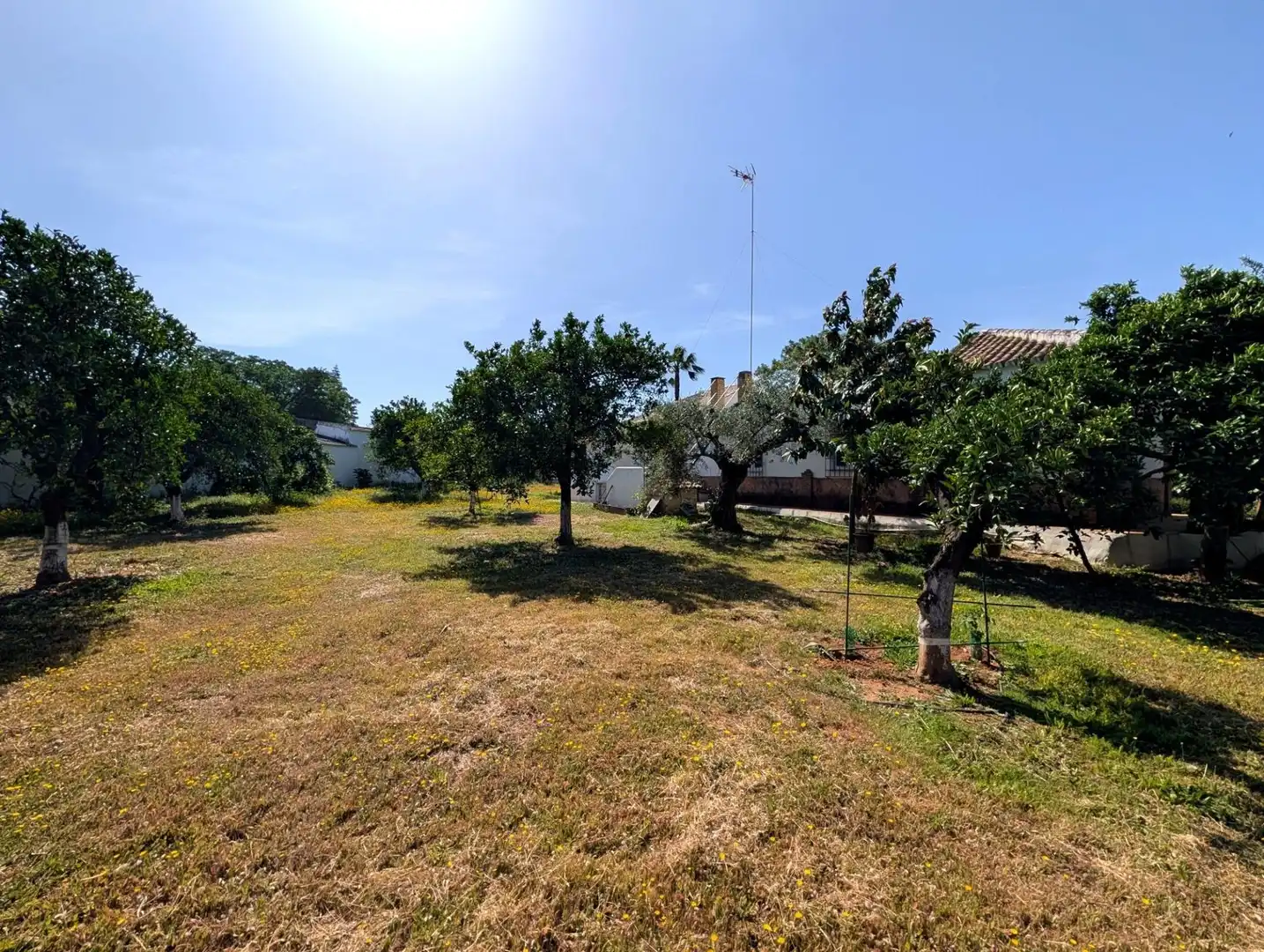 Chalet con jardín en venta en Sanlúcar la Mayor, imagen 29