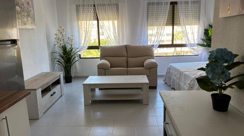 Foto 5 de Estudio en venta en Calle Ramón Gallud, 222, Zona Playa del Cura, Torrevieja