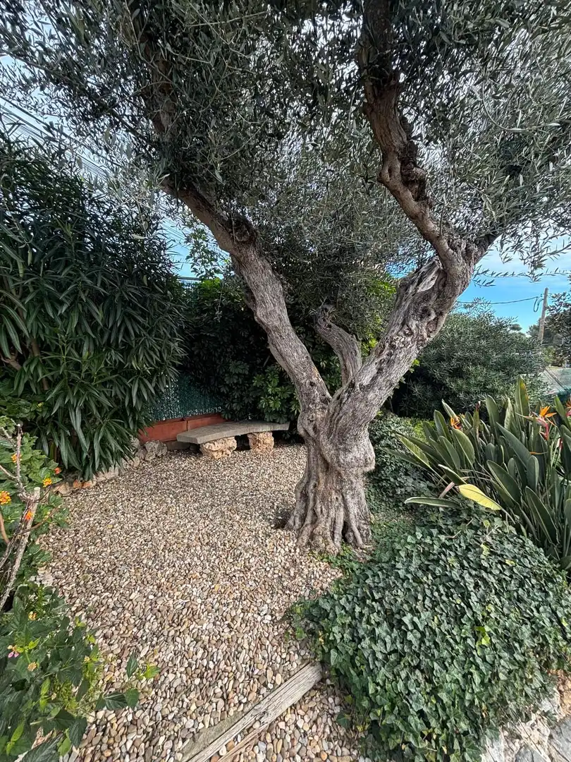 Garden of Houses for sale in Santa Susanna  with Air Conditioner, Private garden and Terrace