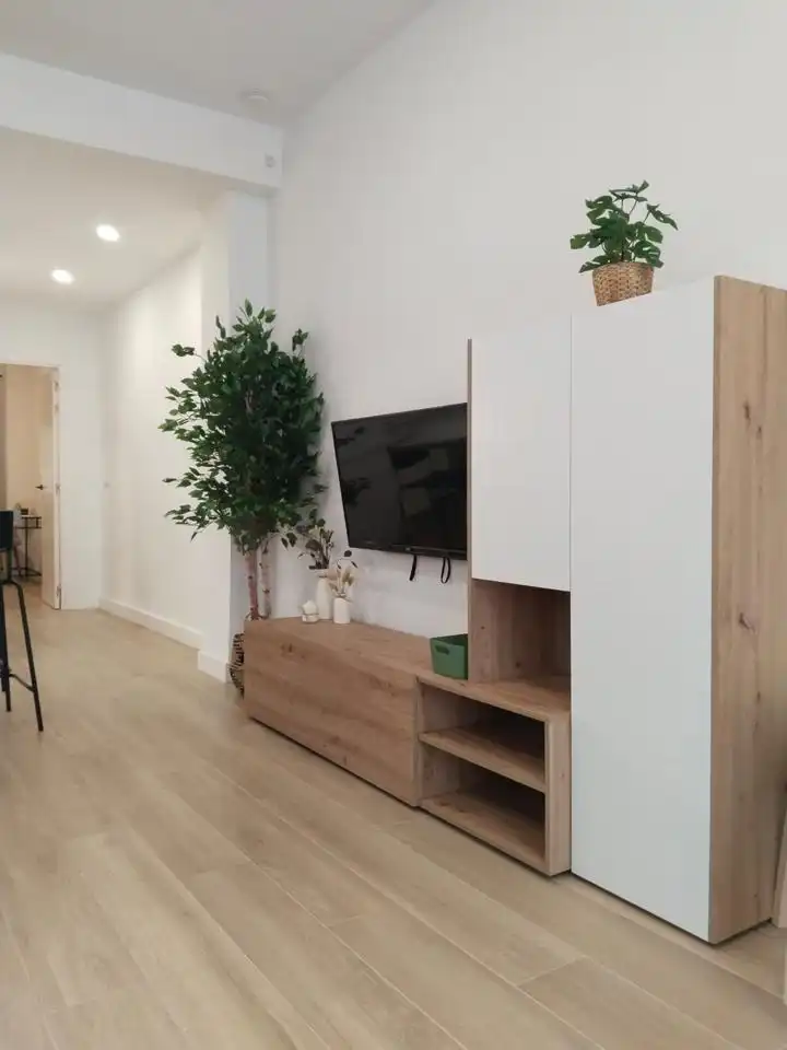 Sala d'estar de Pis de lloguer en Barrio de Salamanca