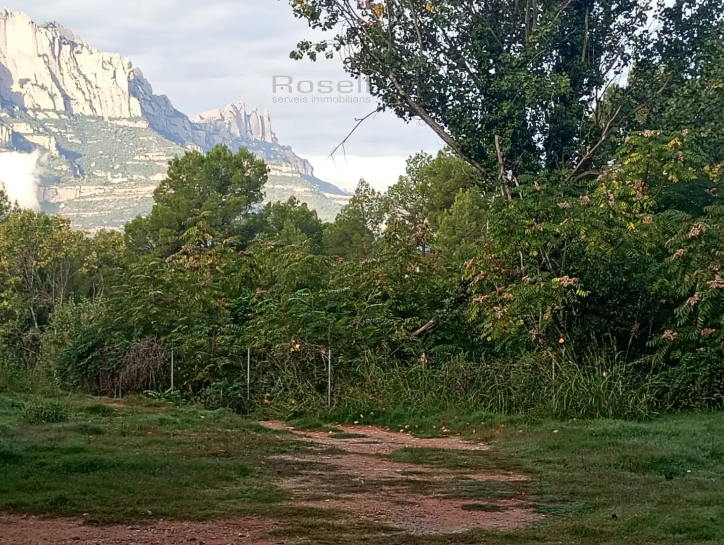 Casa o chalet en venta en Castellbell i el Vilar con Aire acondicionado y Calefacción