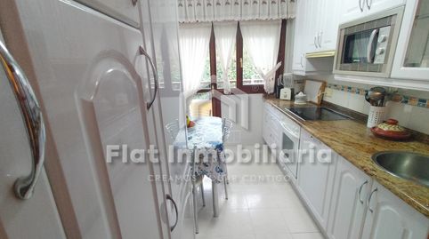 OSTENDE, imagen 2