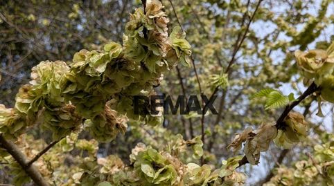 Photo 5 of Residential for sale in Sant Julià del Llor I Bonmatí - Can Neret, Carrer , Sant Julià del Llor i Bonmatí, Girona