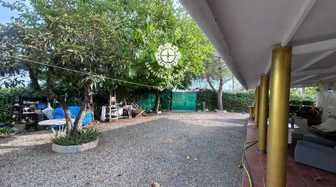 Se vende parcela con pozo, casa legalizada y bosque de Paulownia, immagine 4