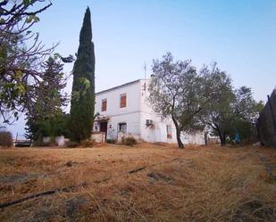 Vista exterior de Finca rústica en venda en Fernán-Núñez