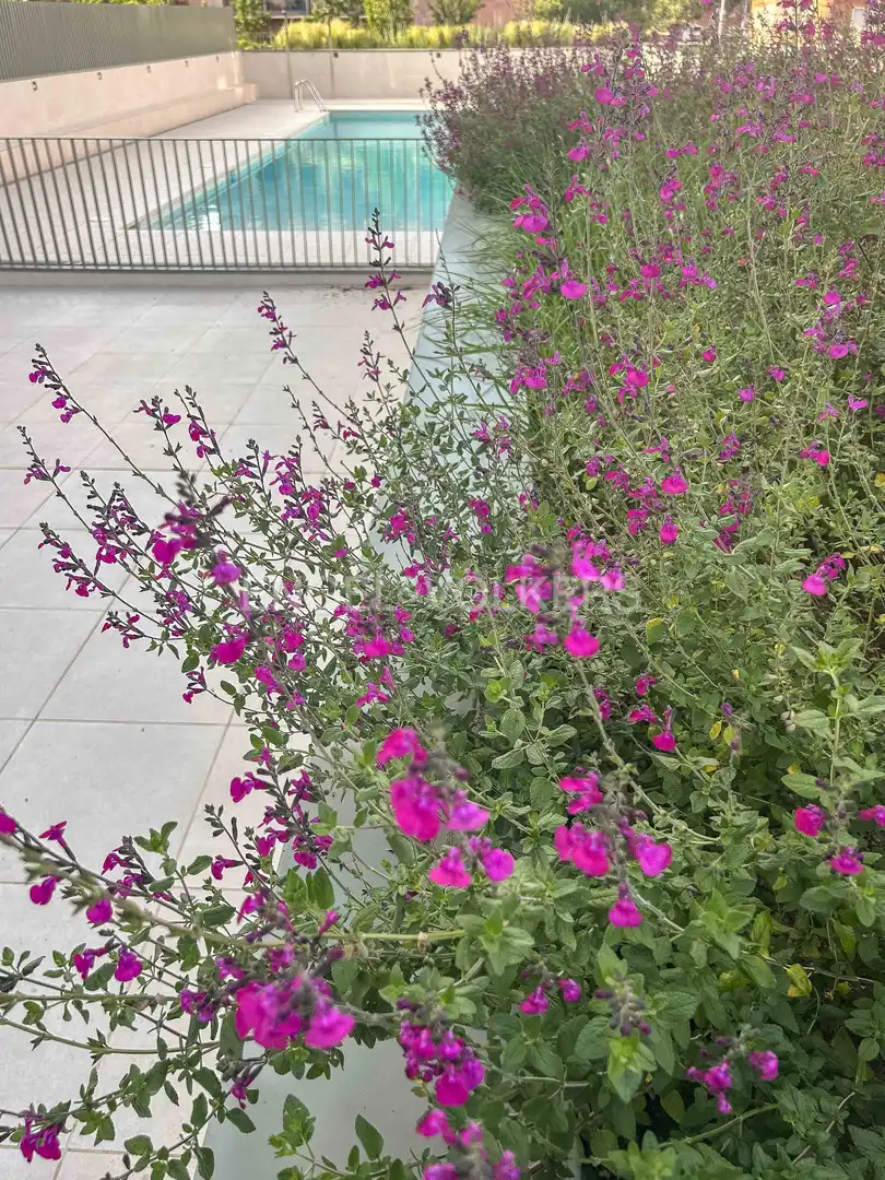 Appartement avec terrasse à louer à Nord-oest, imagen 5