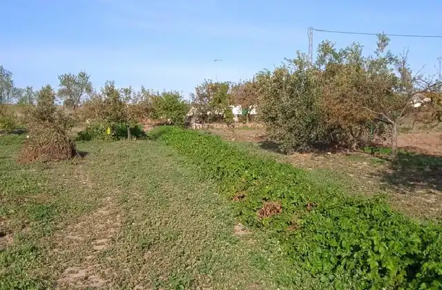 Grundstücke und Bauplätze zum Verkauf in Dos Torres, imagen 11