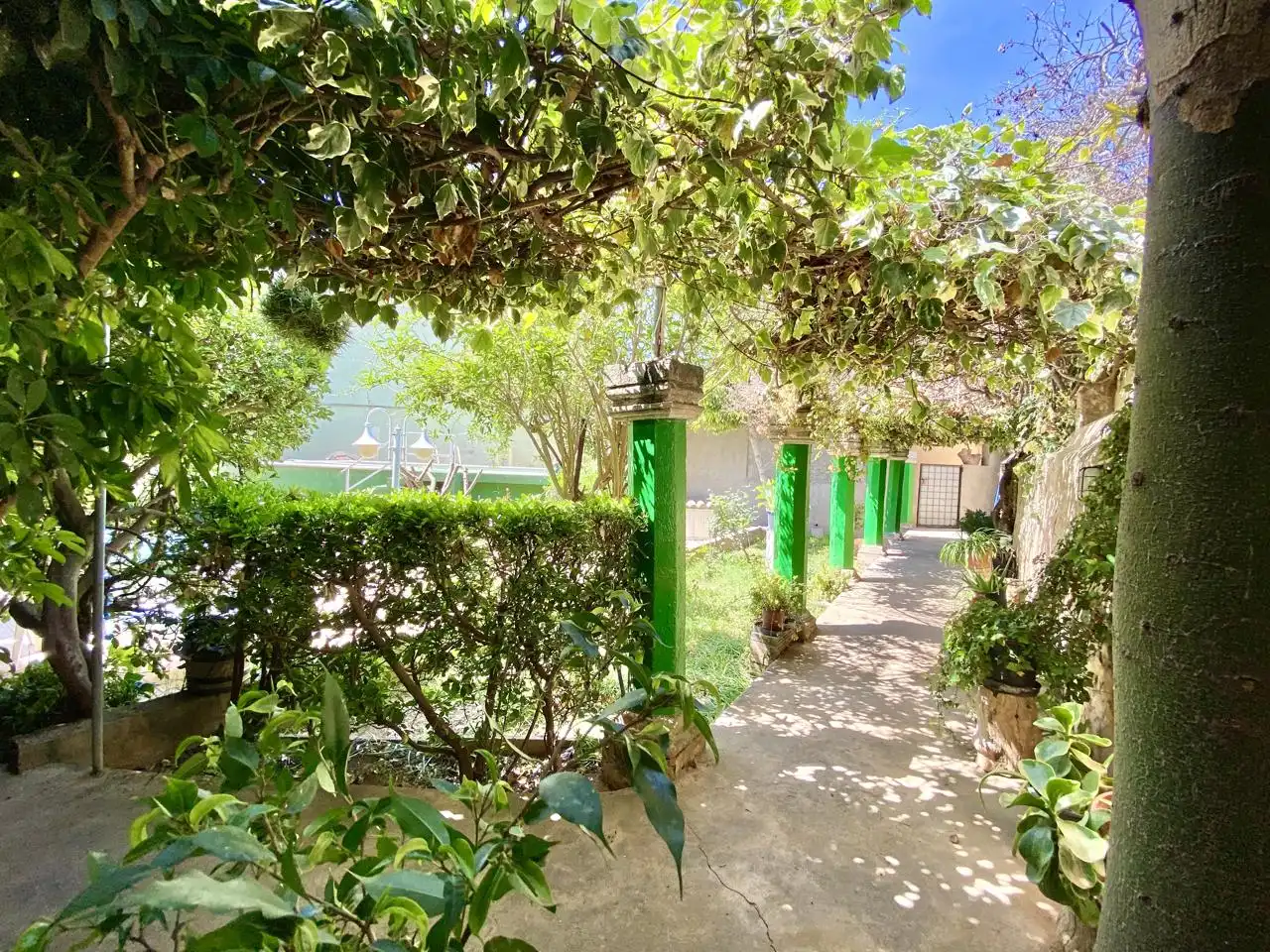 Garten von Haus oder Chalet zum Verkauf in  Palma de Mallorca mit Privatgarten, Terrasse und Abstellraum