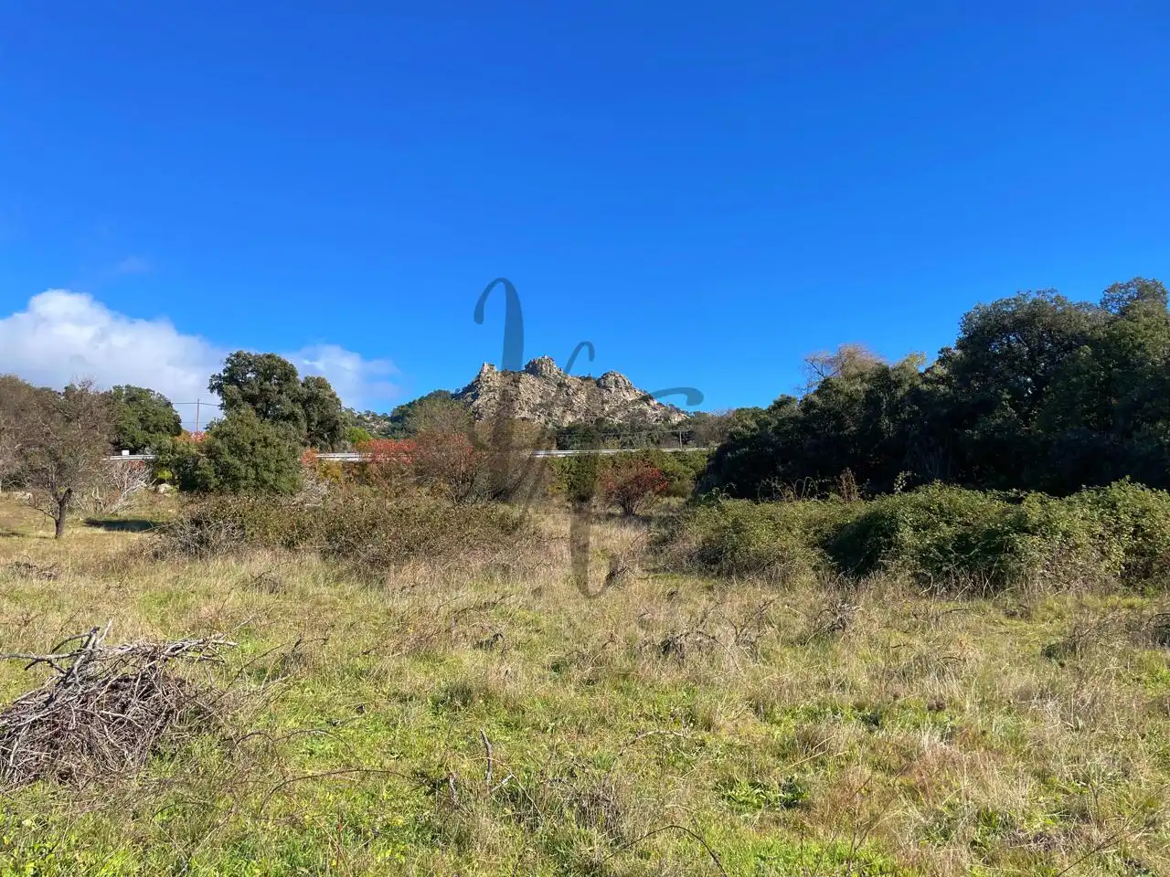 Terreno rústico en venta en paraje castellana, imagen 6