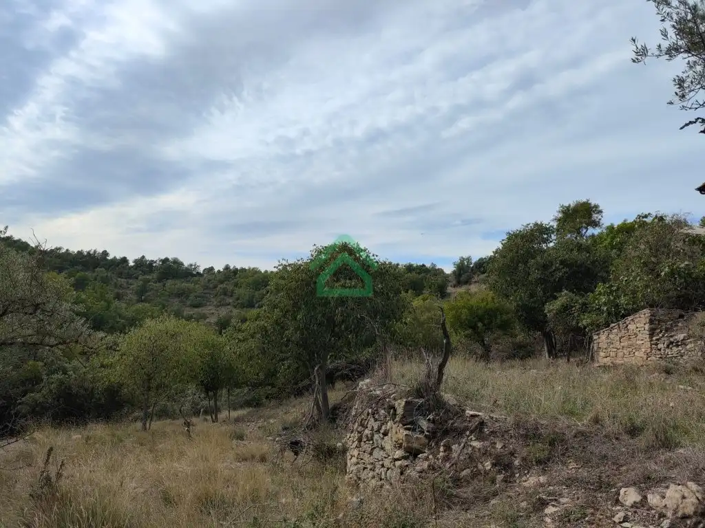 Finca rústica en venda a Carretera Isona, Coll de Nargó