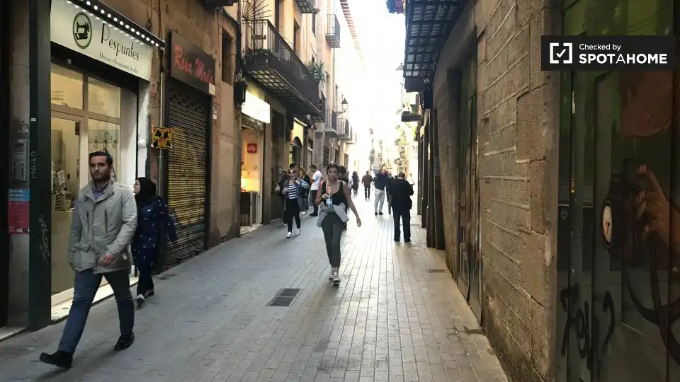 Piso con terraza en alquiler en Ciutat Vella, imagen 13