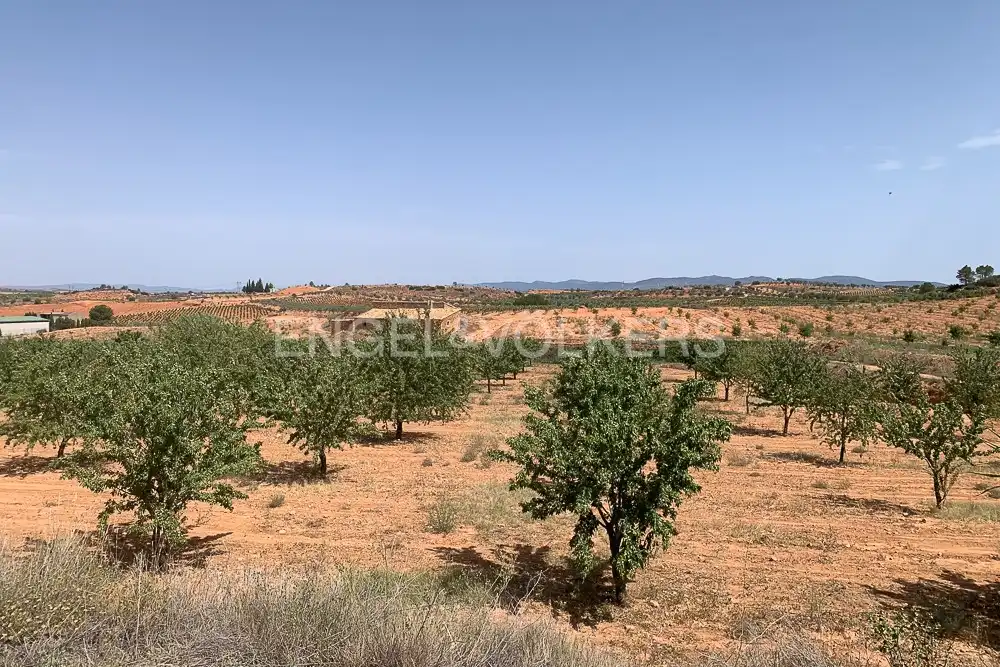 Lands and plots for sale in Requena, imagen 37