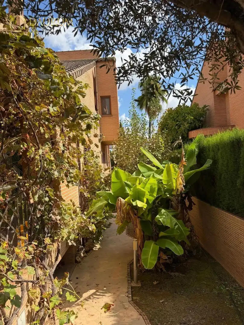 Villa con piscina in vendita a SECTOR B MAS CAMARENA, imagen 34