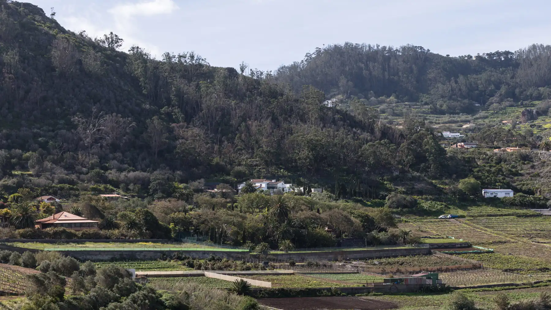 Vista exterior de Finca rústica en venta en Tegueste con Jardín privado, Terraza y Horno