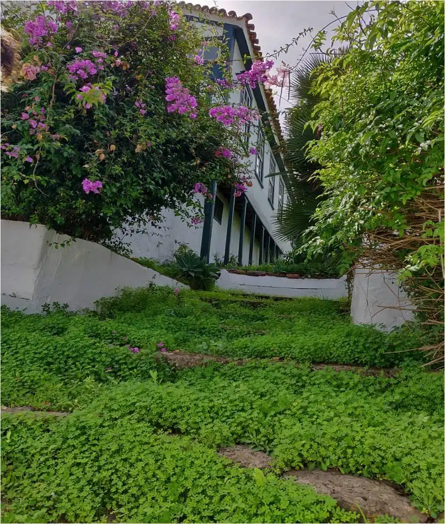 Vista exterior de Casa o xalet en venda en Tegueste amb Jardí privat, Terrassa i Balcó