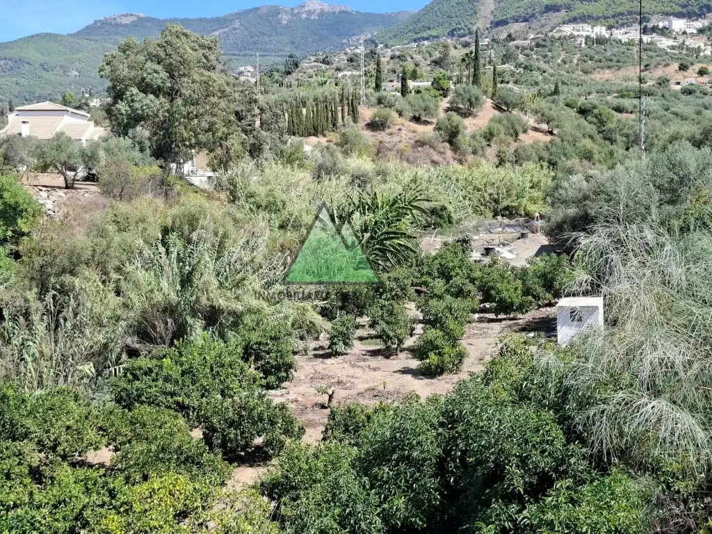 Country house for sale in Alcaucín, imagen 19