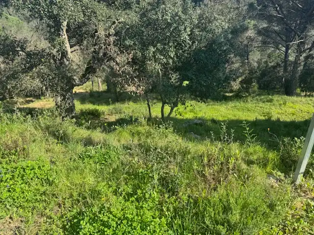 Terreno residencial en venta en Carrer l'Avet 456, imagen 4