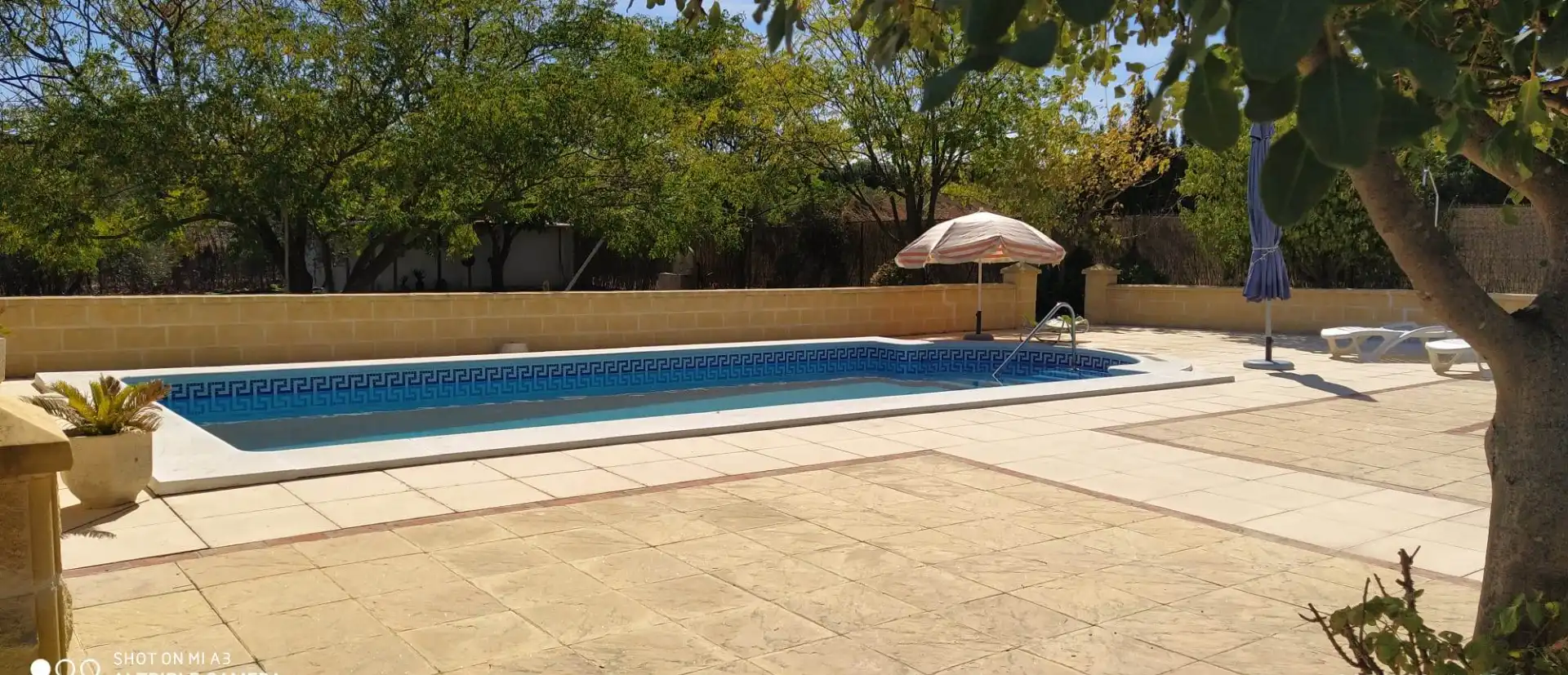 Chalet con piscina en venta en La Carlota, imagen 10