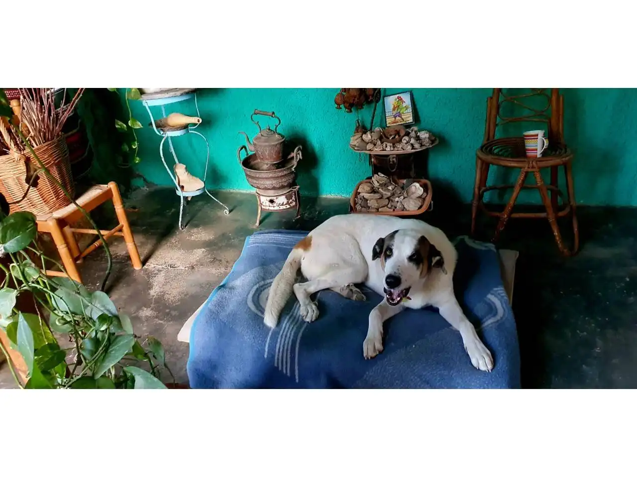 Casa rustica con piscina in vendita a Carretera San José S/N, imagen 177