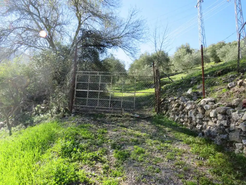 Terreno en venta en Cádiz