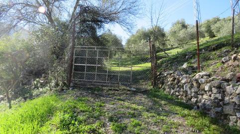 Photo 4 of Land for sale in Loma del Batan, El Pópulo - Santa María, Cádiz