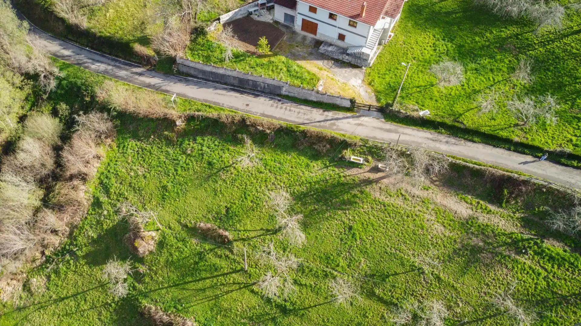Land for sale in Riosa