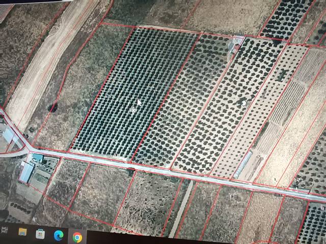 Terreno en Venta en Calle Ayuntamiento, 25 en Guadalmez