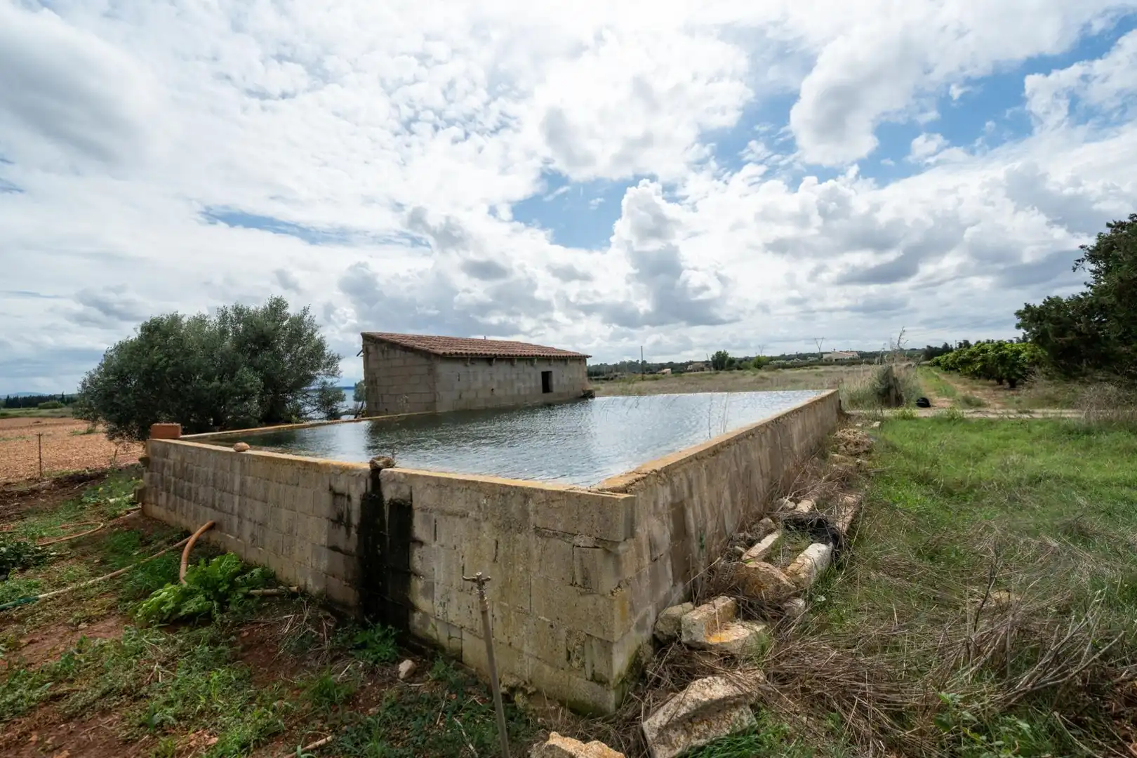 Swimming pool of Residential for sale in Muro, Illes Balears