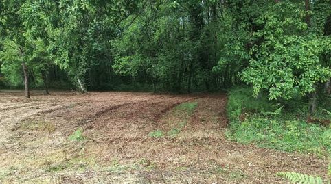 FINCA RÚSTICA CON POTENCIAL MADERABLE E INVERSIÓN EN LUGO, immagine 4