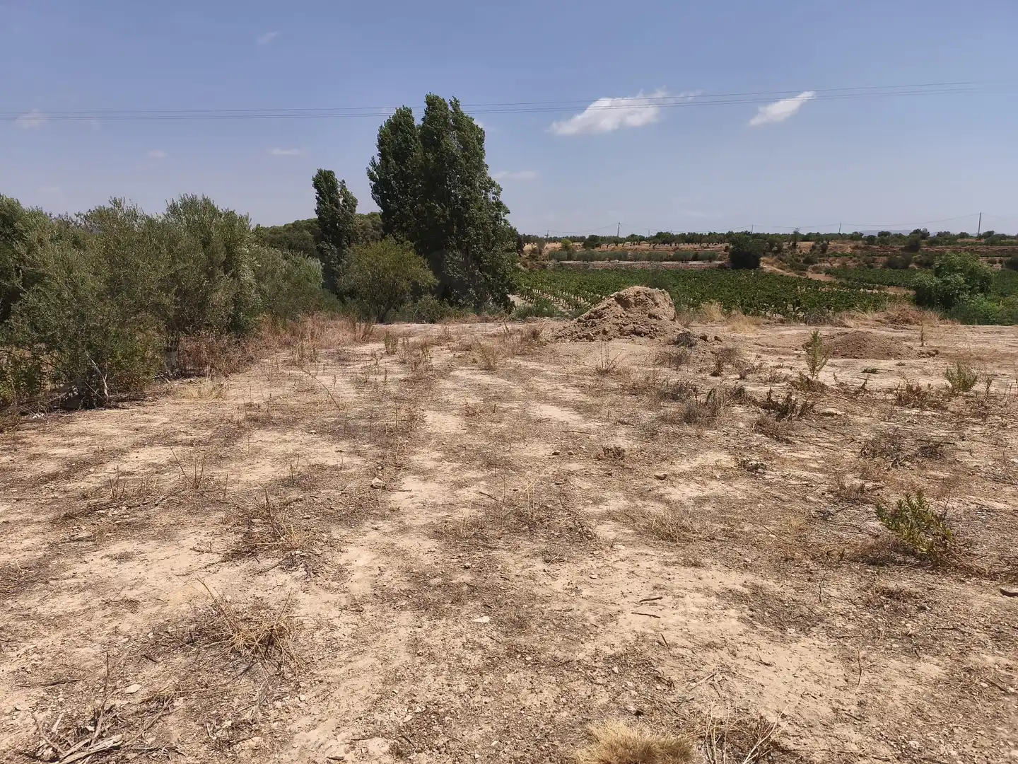 Rustikales Grundstück zum Verkauf in Sant Jaume dels Domenys, imagen 29