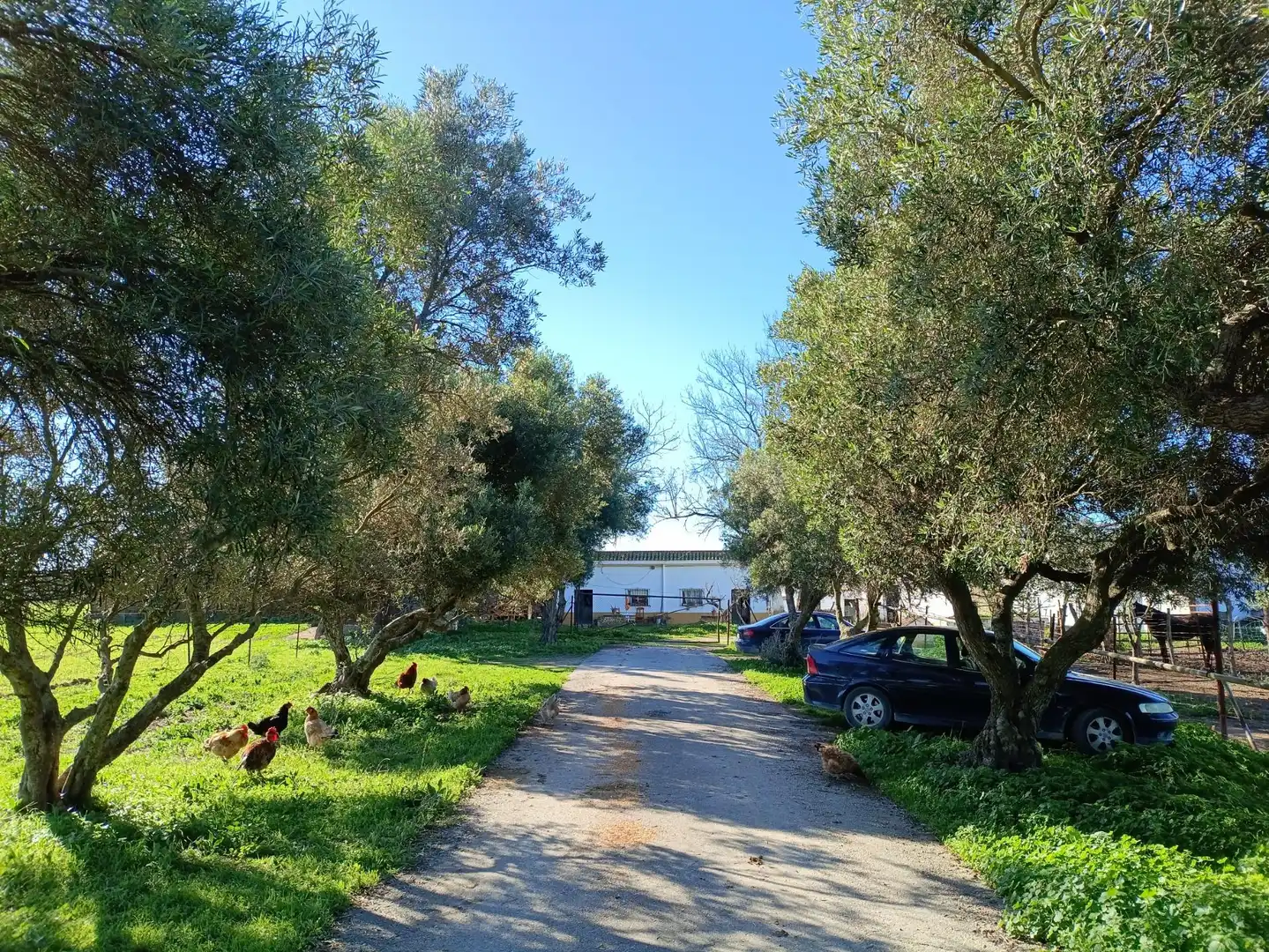 Casa rústica en venda a Villanueva Golf, imagen 26