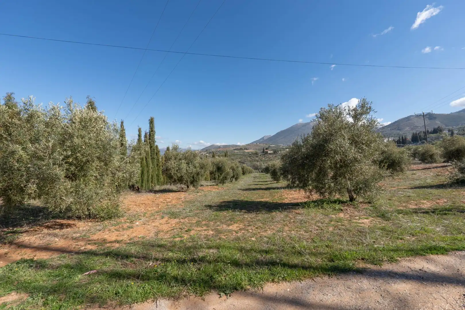Terreni e lotti in vendita a Cogollos de la Vega, imagen 4