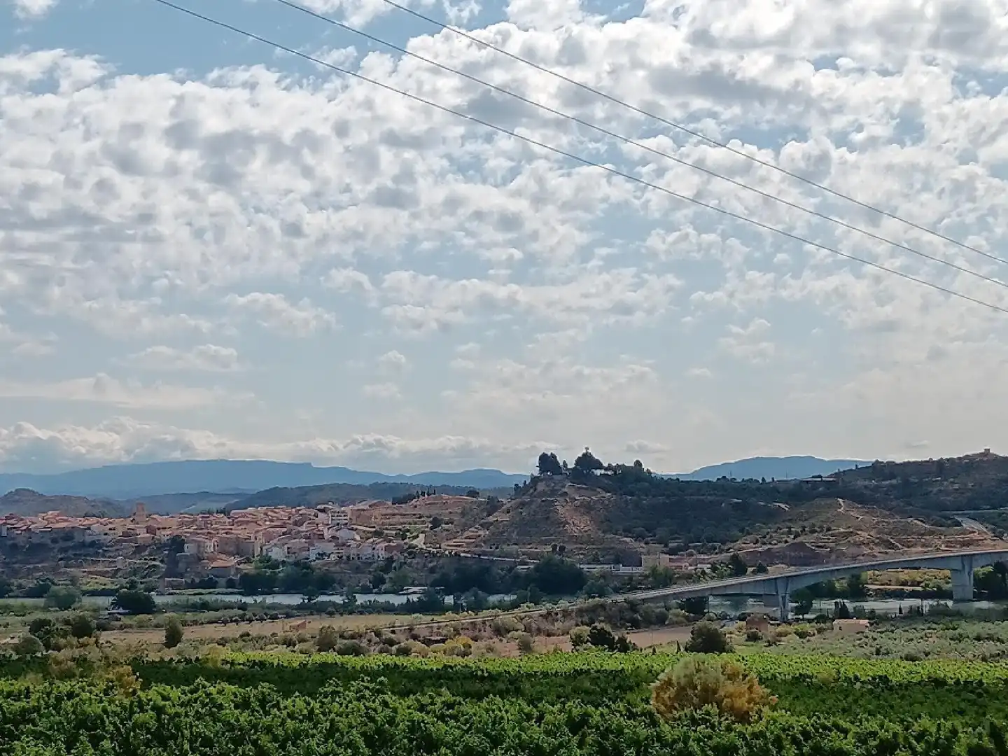 Terrain rustique à vendre à Riba-roja d'Ebre, imagen 4