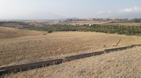 Foto 3 de Terreno en venta en Gibralgalía, Cártama