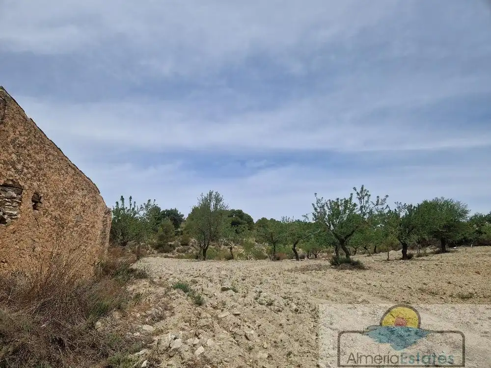 Country house for sale in Albox, imagen 16