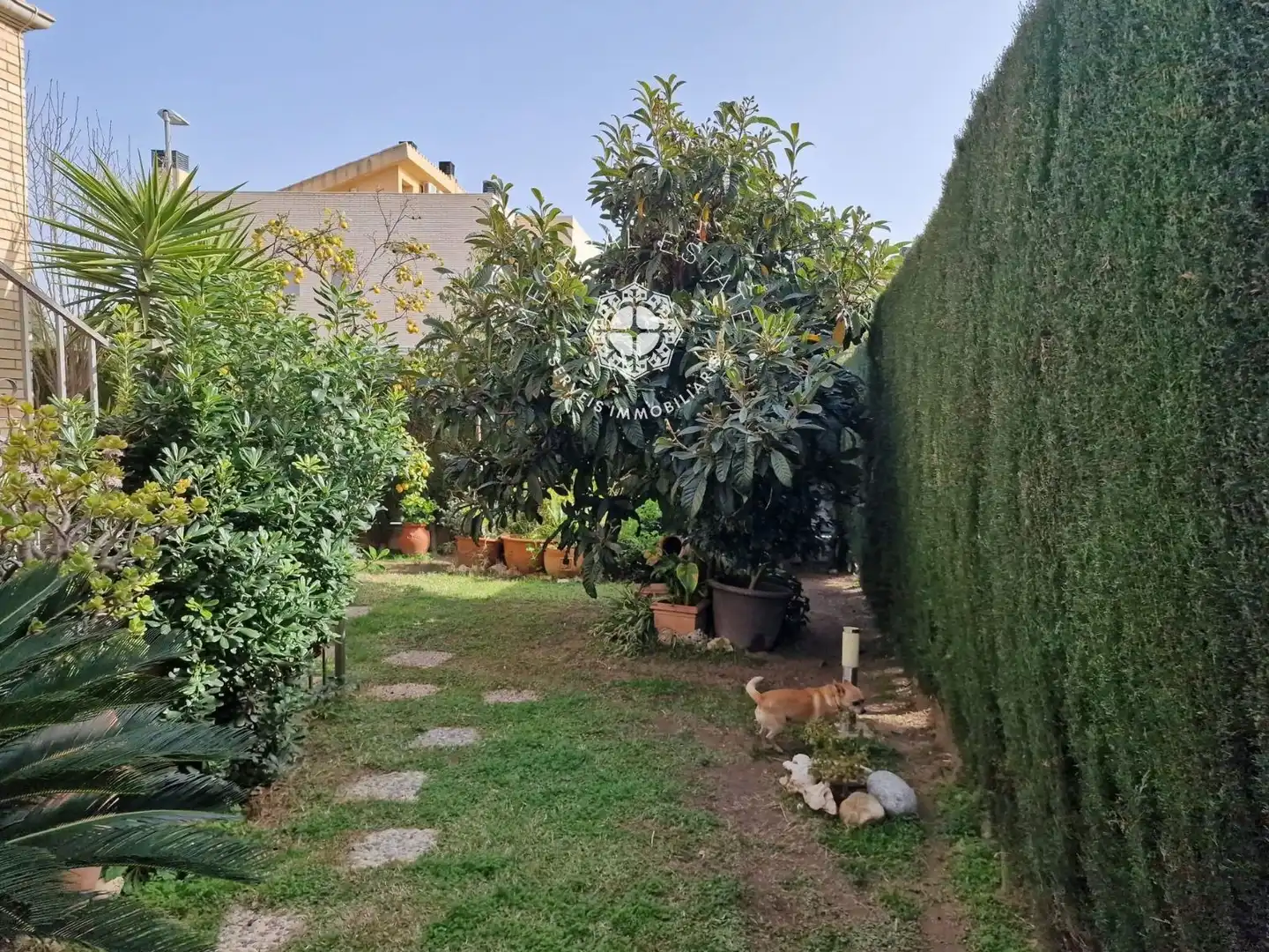 Villa avec piscine à vendre à Aristides Maiol, imagen 13