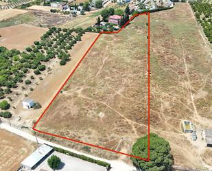 Land for sale in Olivares