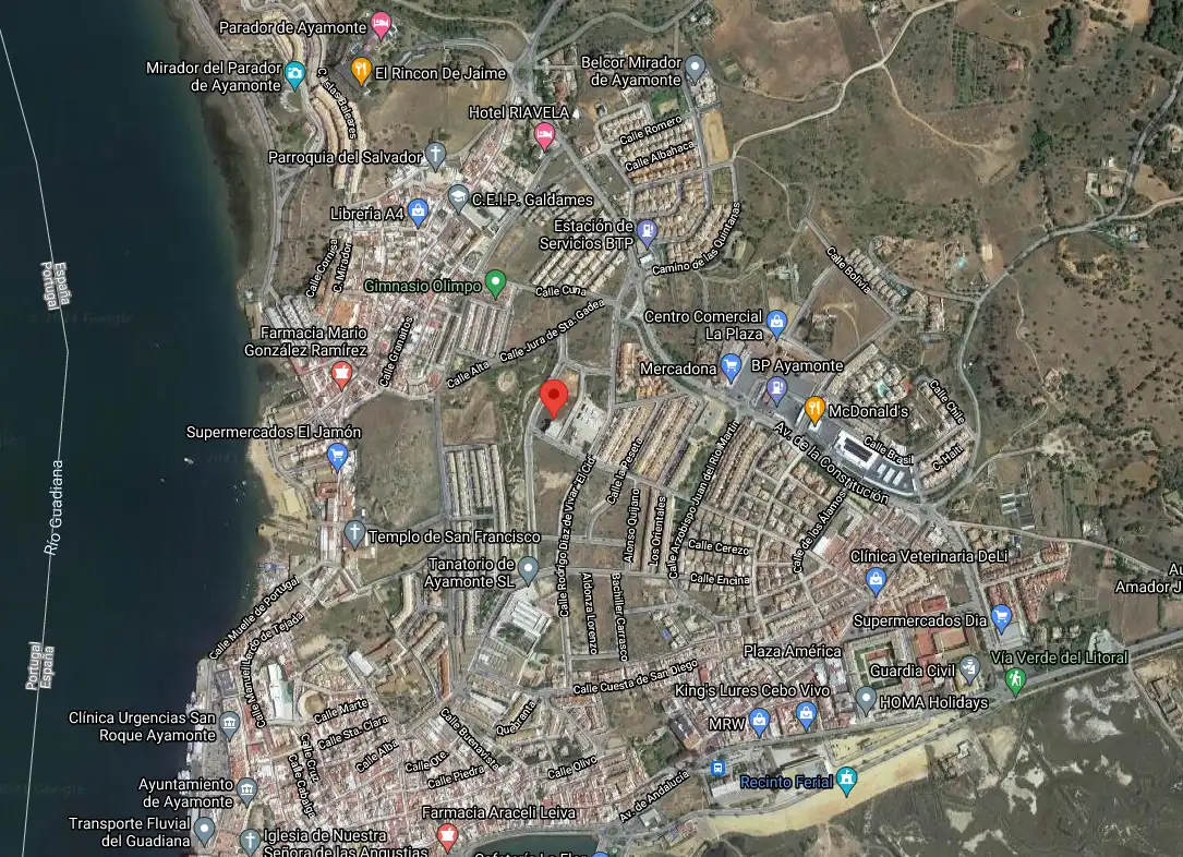 Lands and plots for sale in Sector 12 Nuevo Parque, imagen 11