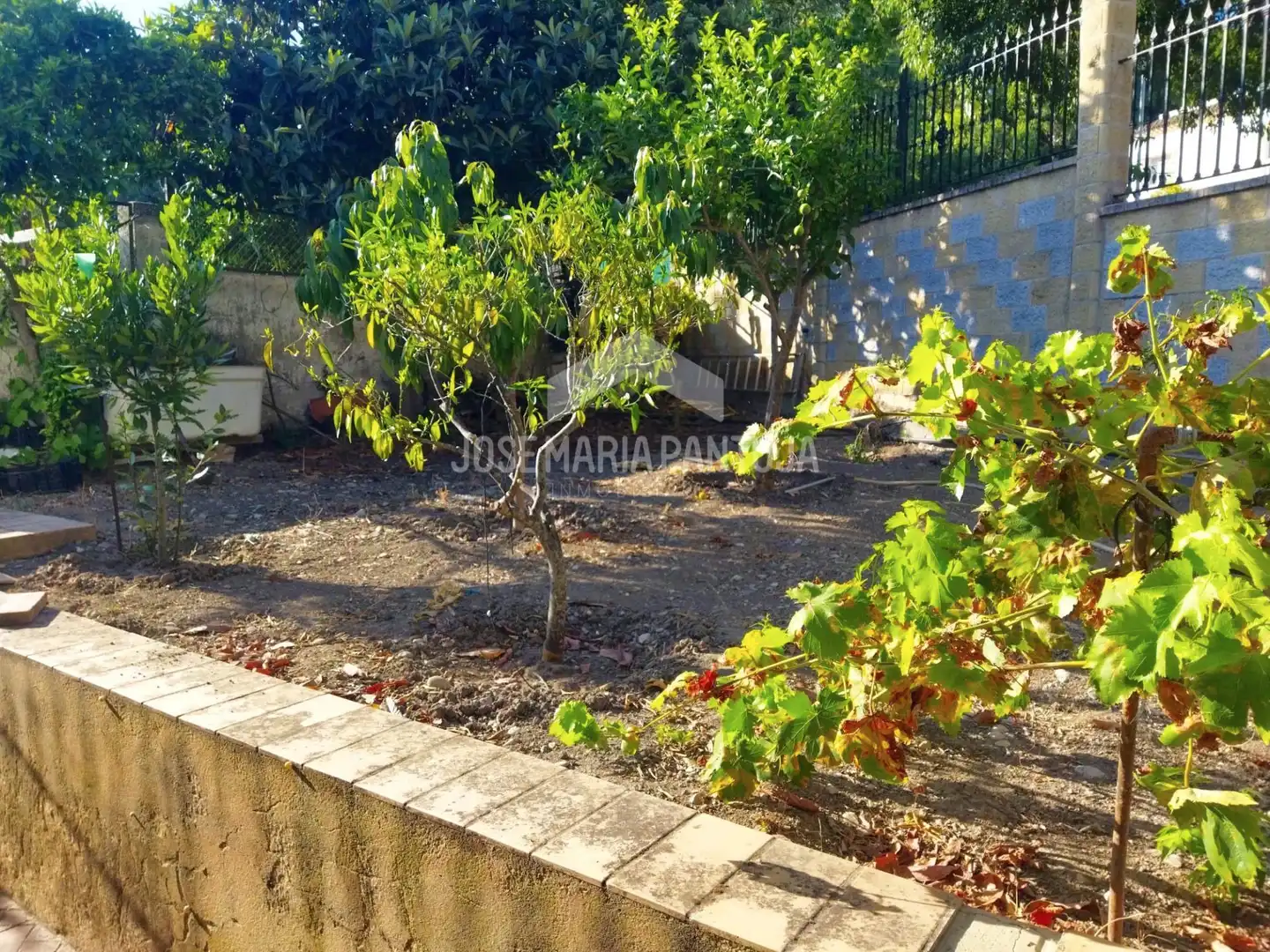 Jardí de Casa o xalet en venda en Arcos de la Frontera amb Calefacció, Jardí privat i Traster