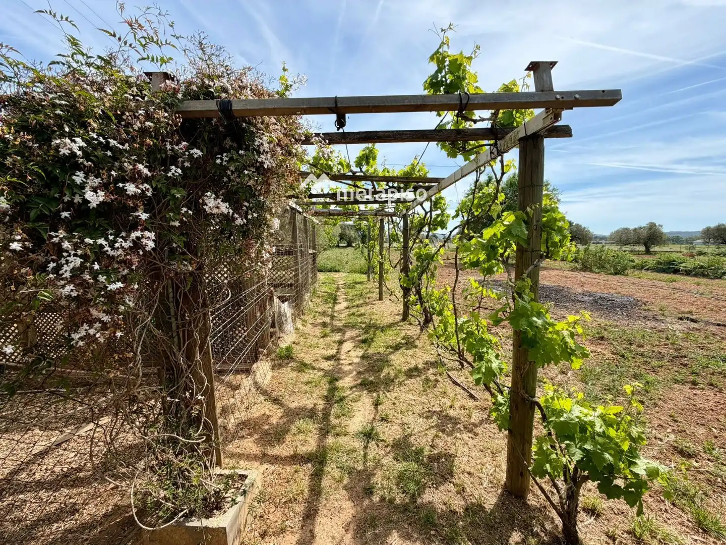 Terreno rustico in vendita a Santa Oliva, imagen 47