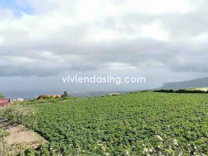 Terreno rustico in vendita a La Perdoma - San Antonio - Benijos, imagen 4